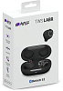 Bluetooth-наушники с микрофоном HIPER TWS Labr HTW-S9 (Black) купить в интернет-магазине icover