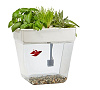 Домашняя акваферма Back To The Roots AquaFarm 2.0 купить в интернет-магазине icover