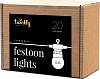 Smart-гирлянда Twinkly Festoon Lights Starter Kit (TWF-020-STP) купить в интернет-магазине icover