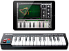 MIDI-клавиатура Akai LPK25 Wireless (A066106) купить в интернет-магазине icover