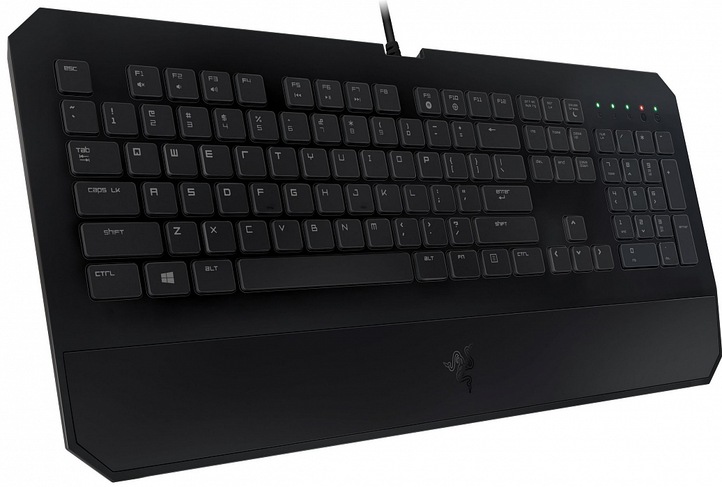 Игровая клавиатура Razer DeathStalker Essential 2014 RZ03-01060200-R3R1 (Black) купить в интернет-магазине icover
