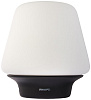 Настольная светодиодная лампа Philips Wellness HUE (15720) купить в интернет-магазине icover