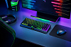Игровая клавиатура Razer BlackWidow V3 Mini HyperSpeed Green Switch Russian Layout (RZ03-03891600-R3R1) купить в интернет-магазине icover
