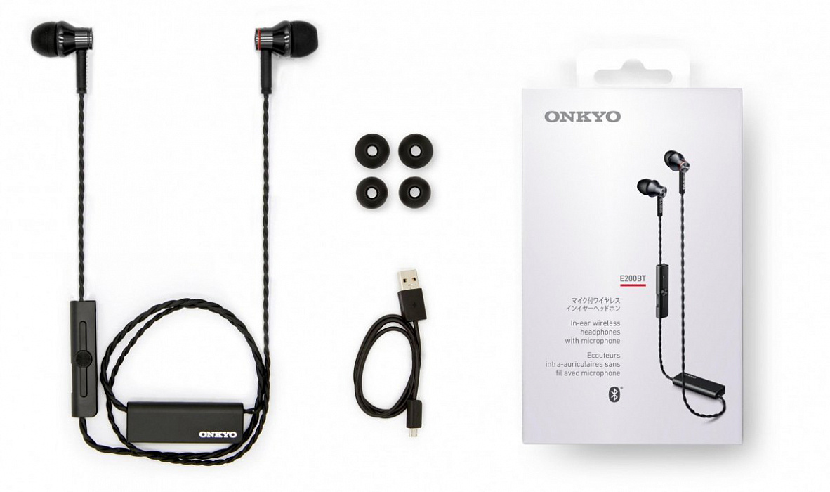 Bluetooth-наушники Onkyo E200BT с микрофоном (Black) купить в интернет-магазине icover
