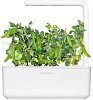 Комплект картриджей Click & Grow Карликовый Горох 3 Pack (Green) купить в интернет-магазине icover