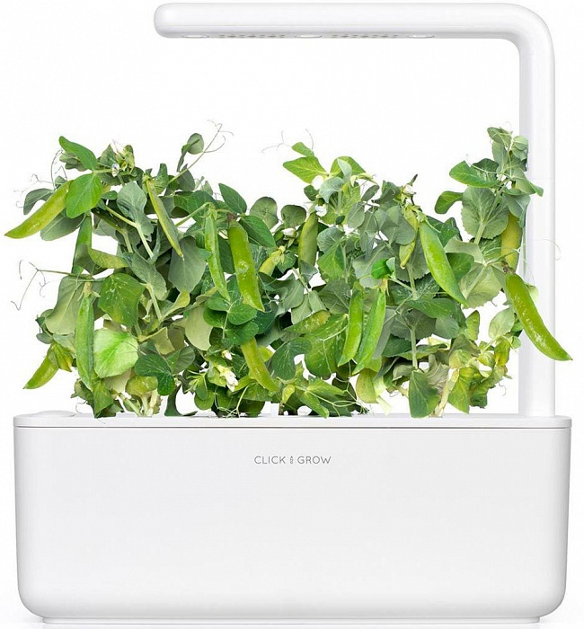 Комплект картриджей Click & Grow Карликовый Горох 3 Pack (Green) купить в интернет-магазине icover