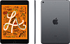 Планшет Apple iPad mini 2019 Wi-Fi + Cellular 256Gb MUXC2RU/A Space Grey купить в интернет-магазине icover