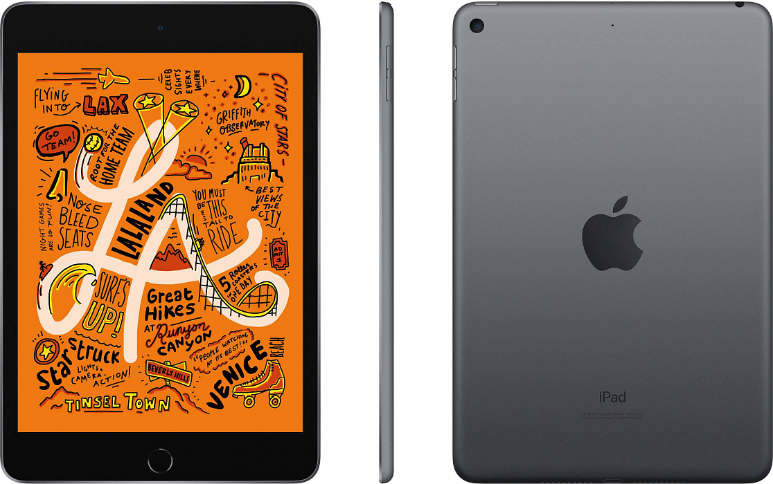 Планшет Apple iPad mini 2019 Wi-Fi + Cellular 256Gb MUXC2RU/A Space Grey купить в интернет-магазине icover