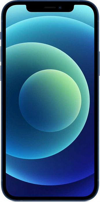 Смартфон Apple iPhone 12 64Gb MGJ83RU/A (Blue) купить в интернет-магазине icover