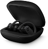 Bluetooth-наушники с микрофоном Beats Powerbeats Pro MV6Y2EE/A (Black) купить в интернет-магазине icover