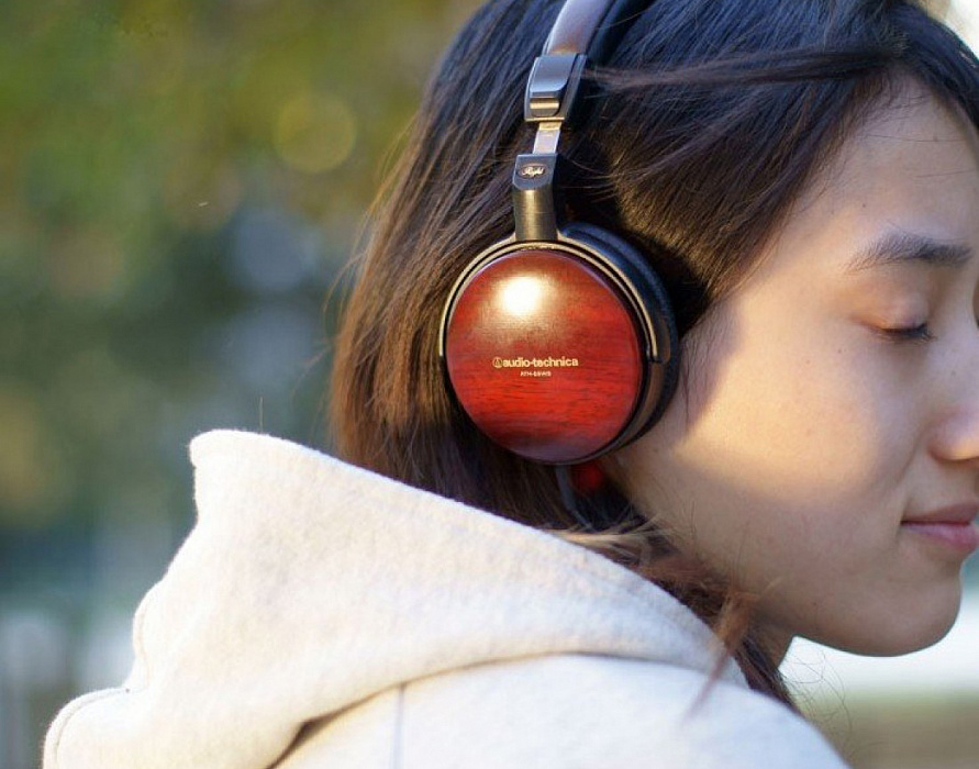 Audio-Technica ATH-ESW9A - накладные наушники (Brown) купить в интернет-магазине icover