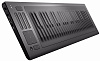 ROLI Seaboard RISE 49 - MIDI-контроллер (Grey) купить в интернет-магазине icover