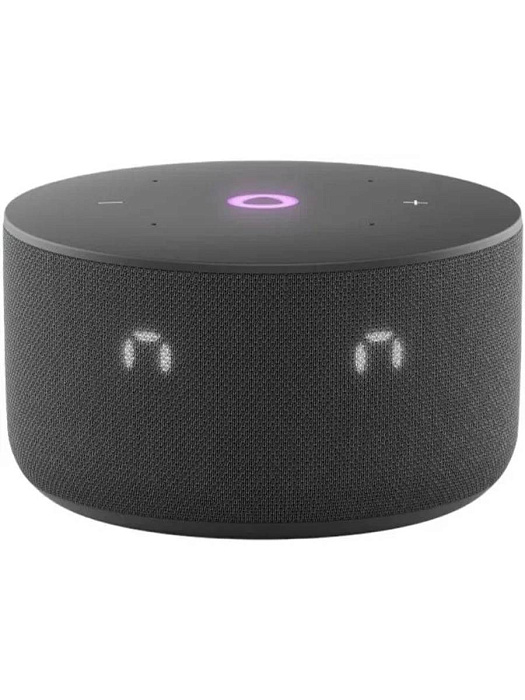 Умная колонка Яндекс Станция Мини 3 YNDX-00027 (Black) купить в интернет-магазине icover