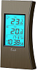 Термометр с часами Ea2 ED601 (Brown) купить в интернет-магазине icover