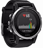 Спортивные часы Garmin Fenix 5S 010-01685-02 (Silver/Black) купить в интернет-магазине icover