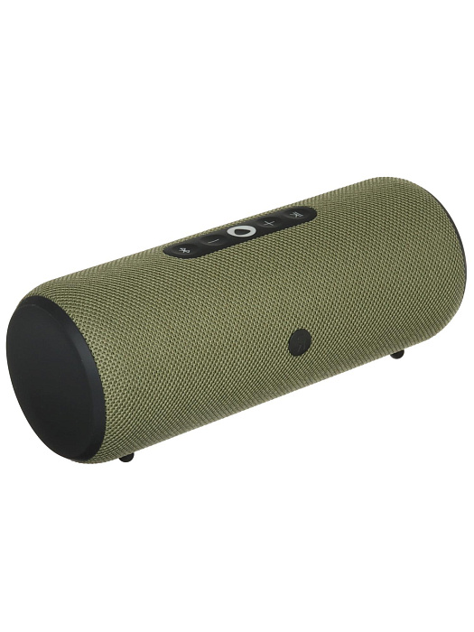 Портативная умная колонка Яндекс Станция Стрит с Алисой 30 Вт (Green) купить в интернет-магазине icover