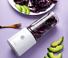 Портативный блендер Xiaomi Pinlo Hand Juice Machine (White) купить в интернет-магазине icover