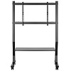 Стойка для телевизора с кронштейном Ridberg LDT03-25FLW (Black) купить в интернет-магазине icover