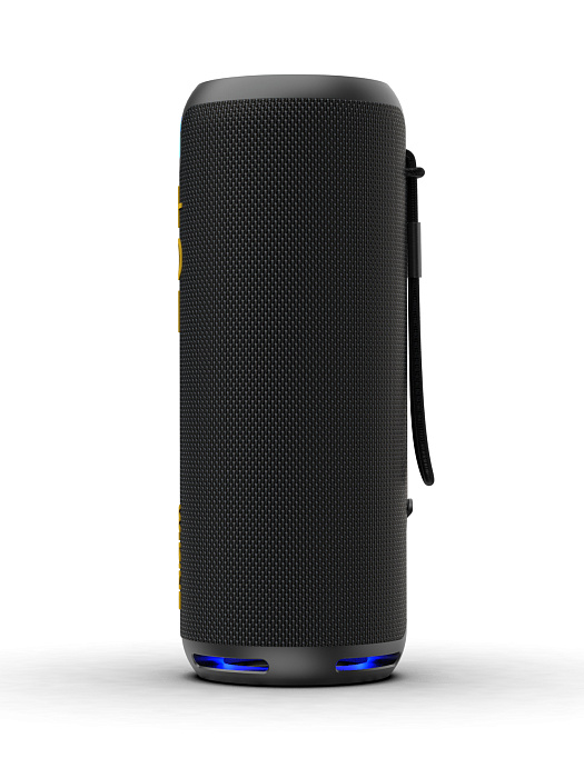 Колонка портативная W-KING D320 (Black) купить в интернет-магазине icover