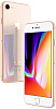 Смартфон Apple iPhone 8 64Gb (Gold) купить в интернет-магазине icover
