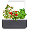 Умный сад Click & Grow Smart Garden 3 Томат, перец, базилик (Graphite) купить в интернет-магазине icover