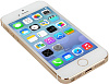 Apple iPhone 5S 16Gb Gold (FF354RU/A) - восстановленный купить в интернет-магазине icover