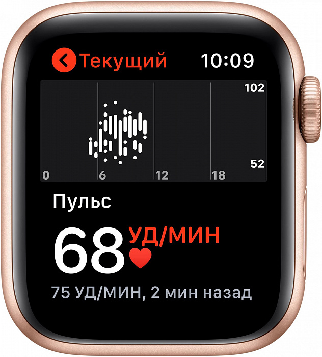 Умные часы Apple Watch Series 5 40mm Sport Band MWV72RU/A (Gold/Pink) купить в интернет-магазине icover
