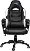 Кресло игровое Aerocool AC80С (Black/White) купить в интернет-магазине icover