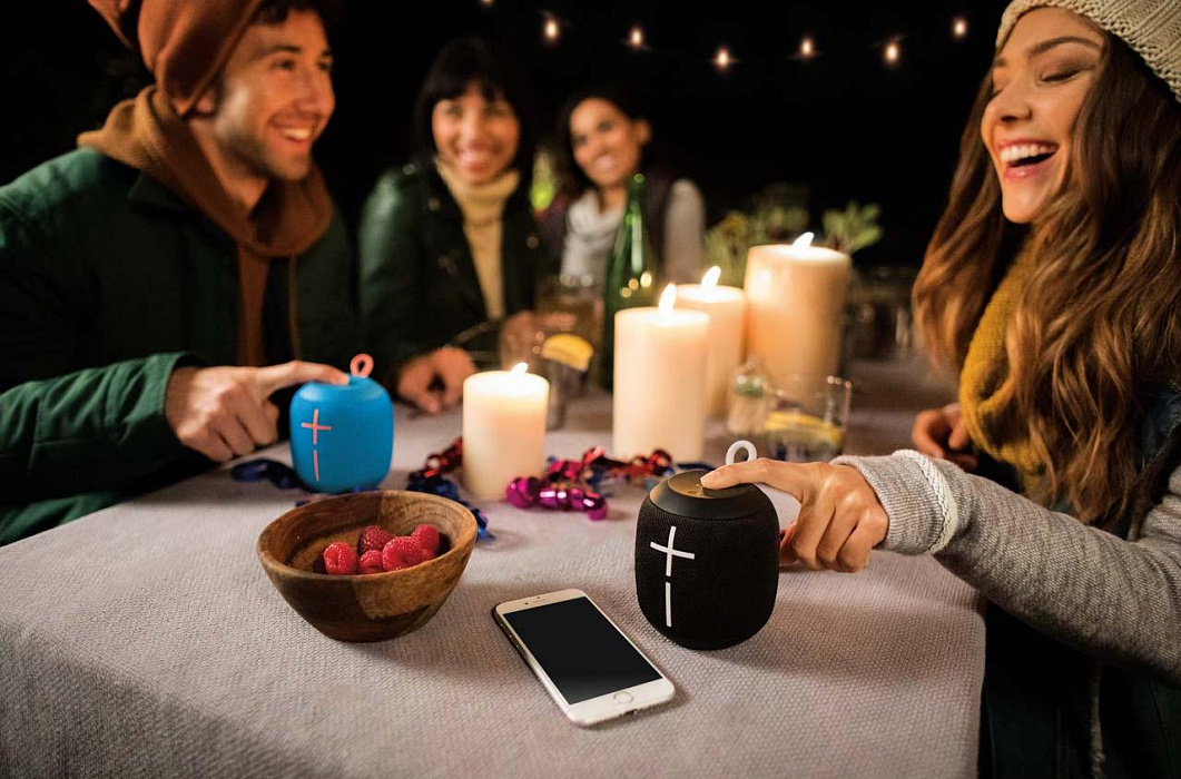 Портативная акустика Logitech UE Wonderboom (Phantom Black) купить в интернет-магазине icover