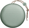 Портативная акустика Bang & Olufsen BeoPlay A1 (Aloe) купить в интернет-магазине icover