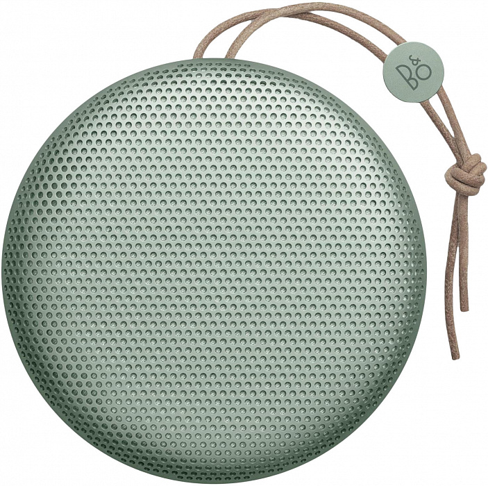 Портативная акустика Bang & Olufsen BeoPlay A1 (Aloe) купить в интернет-магазине icover