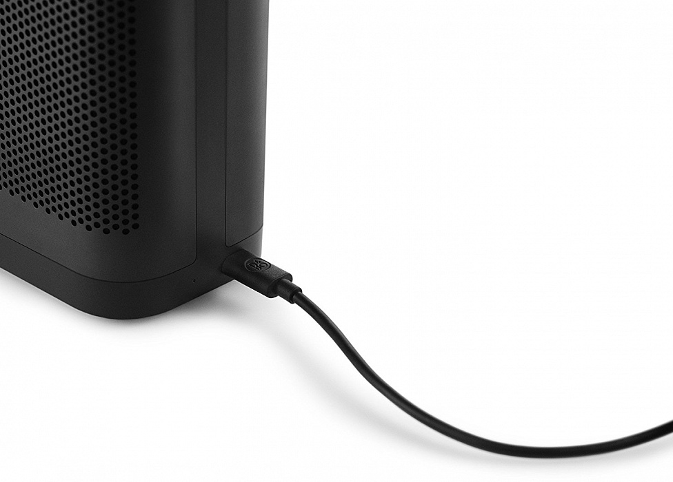 Портативная акустика Bang & Olufsen BeoPlay P6 (Black) купить в интернет-магазине icover