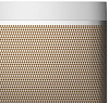 Беспроводная акустика Bang & Olufsen Beolit 20 1253303 (Grey Mist) купить в интернет-магазине icover