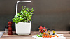 Умный сад Tregren T3 Kitchen Garden (White) купить в интернет-магазине icover