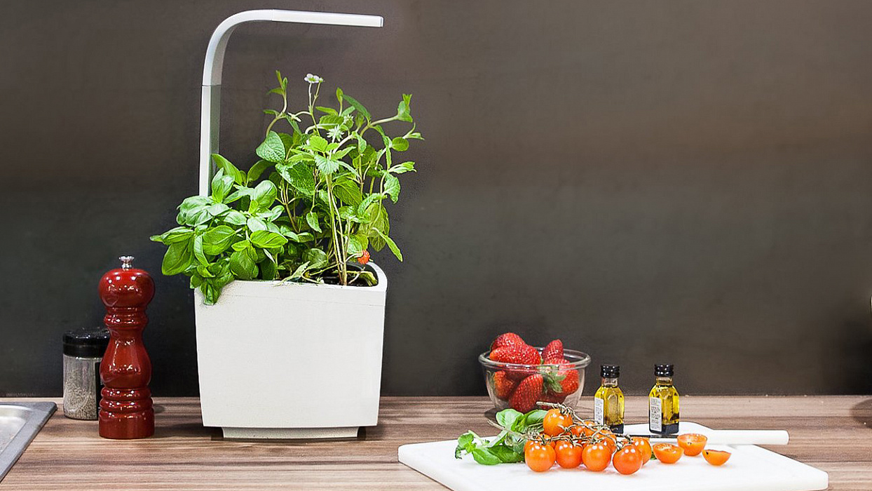 Умный сад Tregren T3 Kitchen Garden (White) купить в интернет-магазине icover