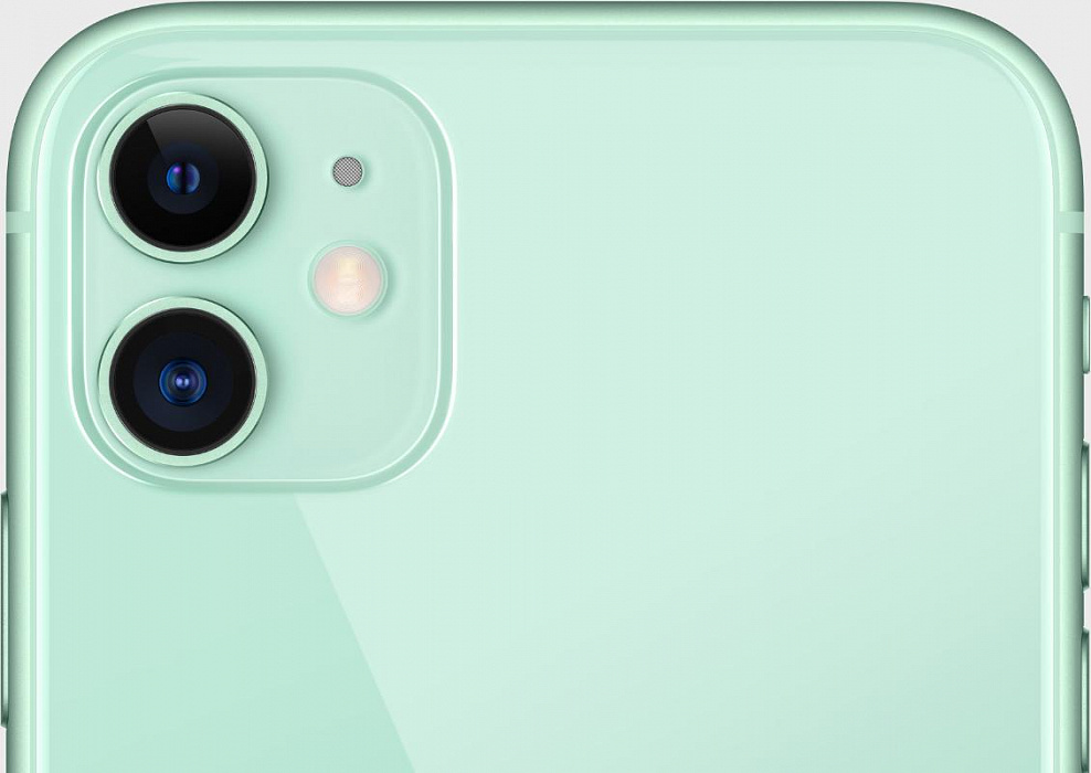 Смартфон Apple iPhone 11 64Gb MWLY2RU/A (Green) купить в интернет-магазине icover
