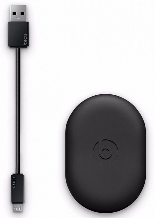 Беспроводные наушники Beats Powerbeats3 Wireless MPXM2ZE/A (Grey) купить в интернет-магазине icover