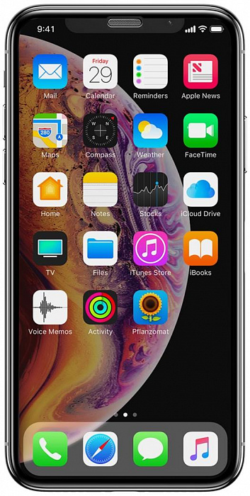 Защитное стекло Baseus Curved Privacy (SGAPIPH58-WC01) для iPhone X/Xs (Black) купить в интернет-магазине icover