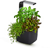 Умный сад Tregren T3 Kitchen Garden (Black) купить в интернет-магазине icover