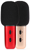 Микрофон Xiaomi Just Sing C1 (Red) купить в интернет-магазине icover