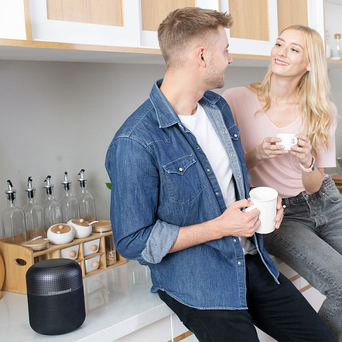 Портативная акустика Tronsmart Element T6 Max 60W (Black) купить в интернет-магазине icover