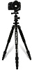 Dolica Proline Carbon Fiber Tripod (ZX600B103) - штатив для фотокамер  купить в интернет-магазине icover