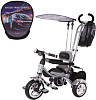 Capella Racer Trike Grand (GL000021180) - детский велосипед (Silver) купить в интернет-магазине icover