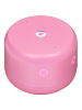 Умная колонка Яндекс Станция Лайт 2 с Алисой 6Вт (Pink) купить в интернет-магазине icover