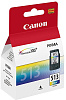 Canon CL-513 (2971B007) - картридж для Canon PIXMA MP240/250/260/480 (Color) купить в интернет-магазине icover