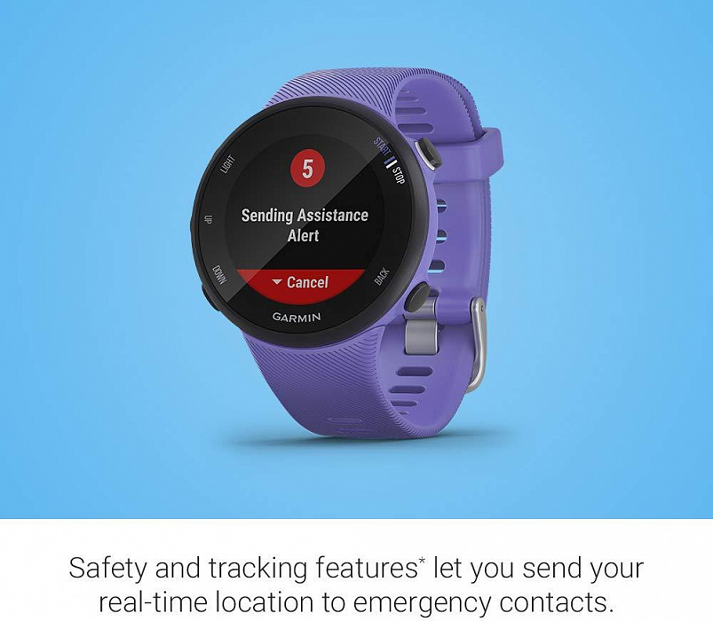 Спортивные часы Garmin Forerunner 45S 010-02156-11 (Iris) купить в интернет-магазине icover