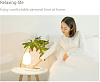 Настольная лампа Emoi Tree & Lake H0060 (White) купить в интернет-магазине icover