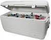 Изотермический контейнер Igloo MaxCold 165 44419 (White) купить в интернет-магазине icover