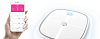 Электронные весы Koogeek Smart Health Scale KS1 (White) купить в интернет-магазине icover