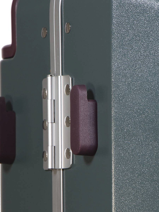 Чемодан Ridberg Aristo (Terra) размер M купить в интернет-магазине icover